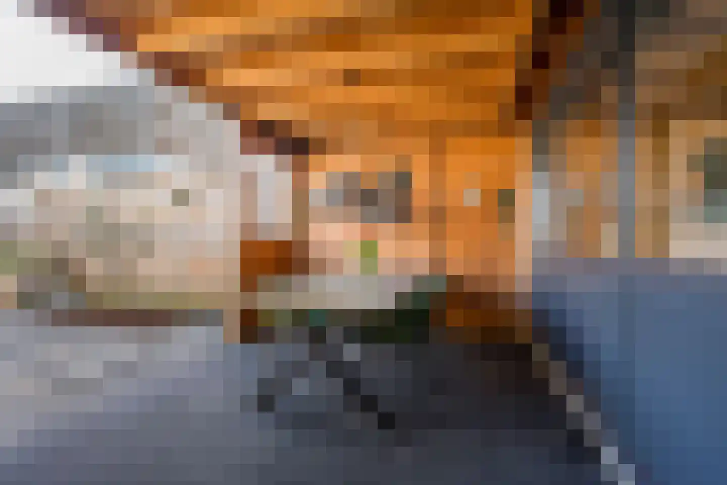 De Vergulde Valk 1 Amersfoort thumbnail 18