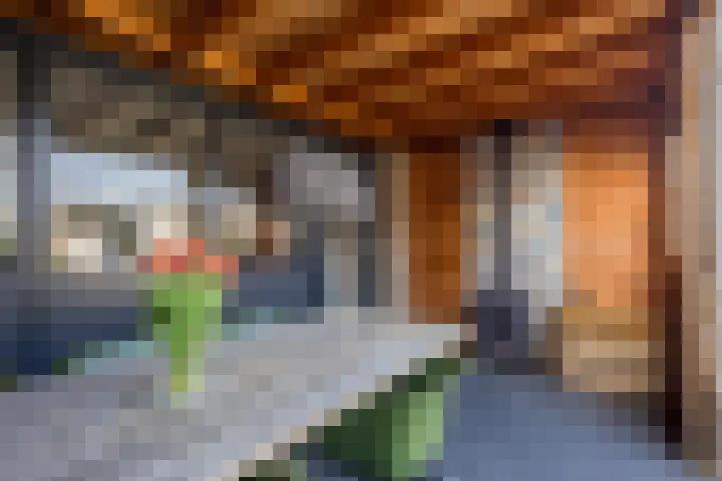 De Vergulde Valk 1 Amersfoort thumbnail 19