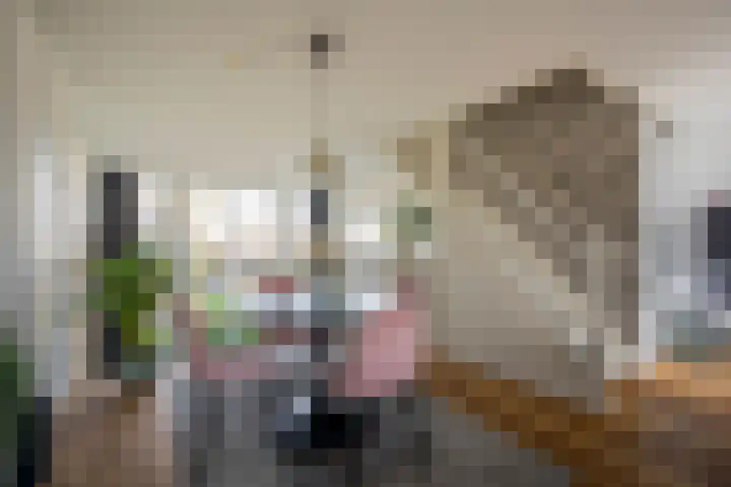 De Vergulde Valk 1 Amersfoort thumbnail 26