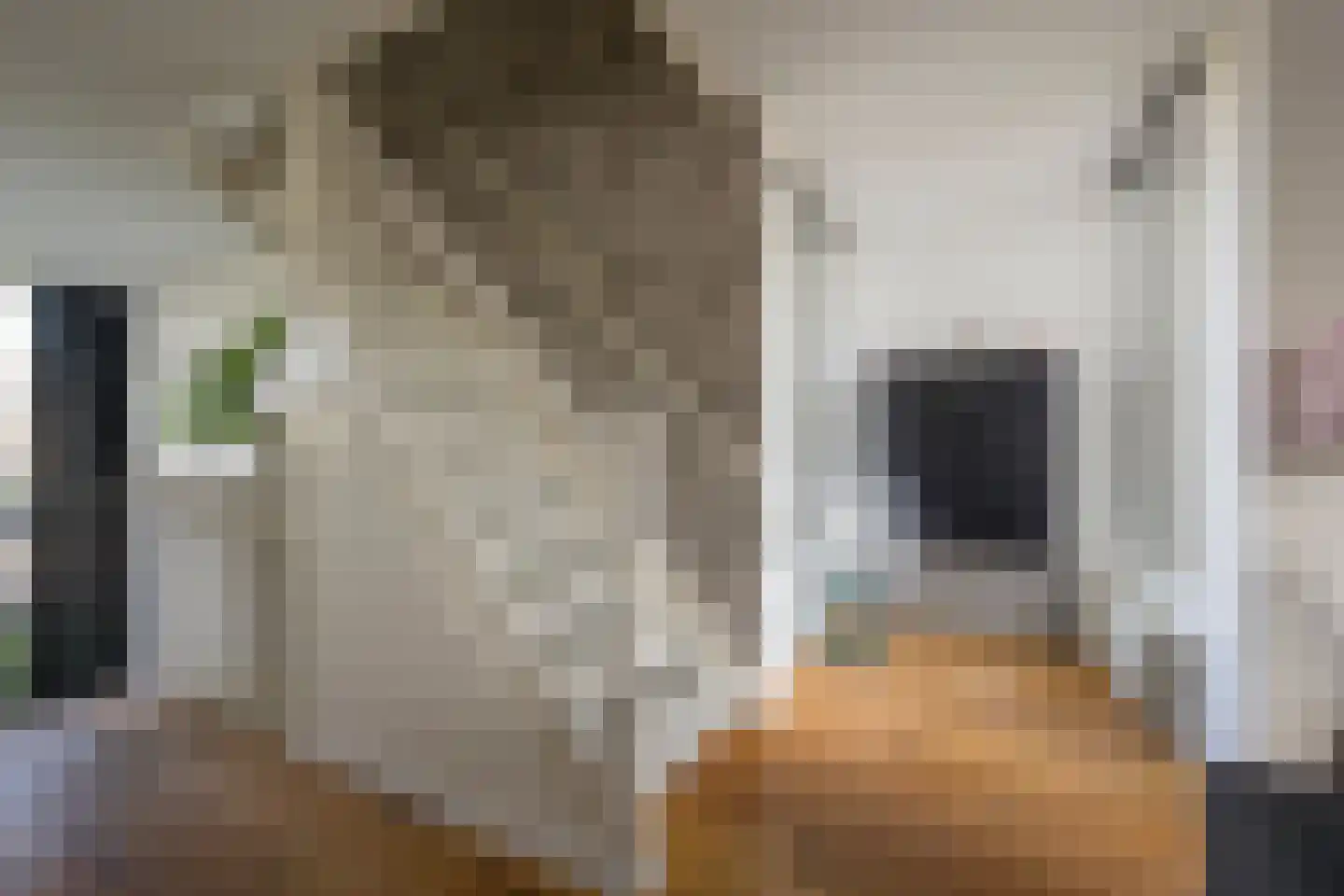 De Vergulde Valk 1 Amersfoort thumbnail 27
