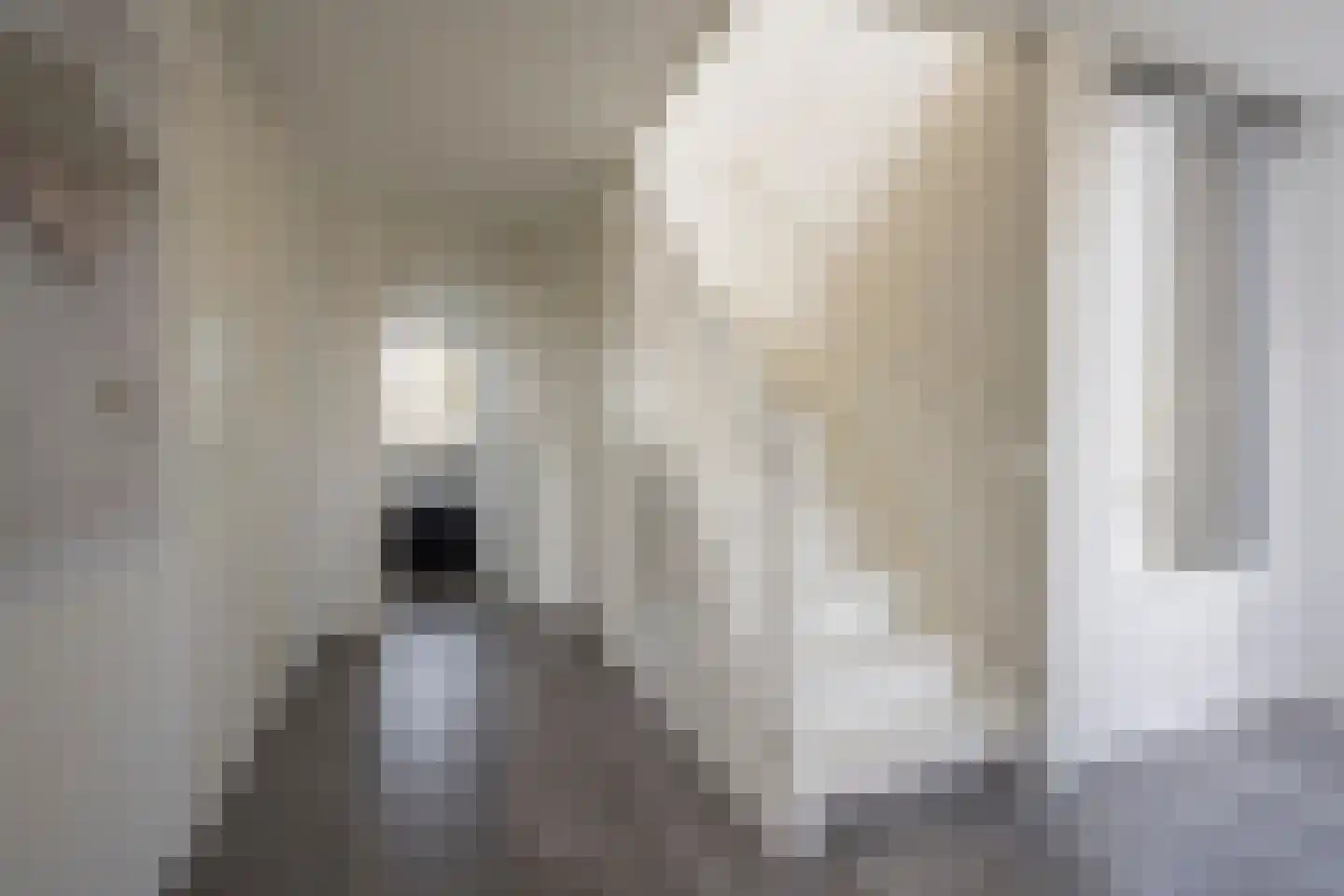 De Vergulde Valk 1 Amersfoort thumbnail 28