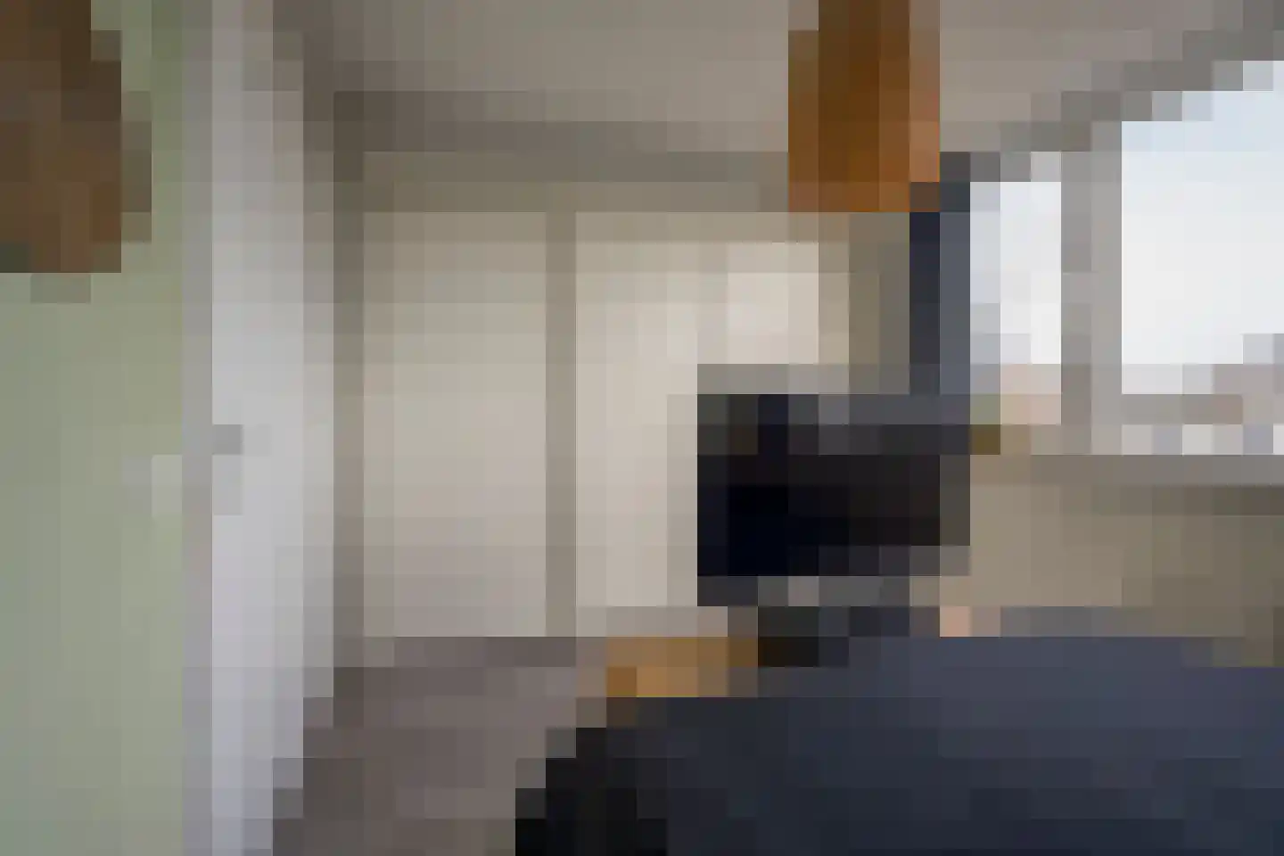 De Vergulde Valk 1 Amersfoort thumbnail 33