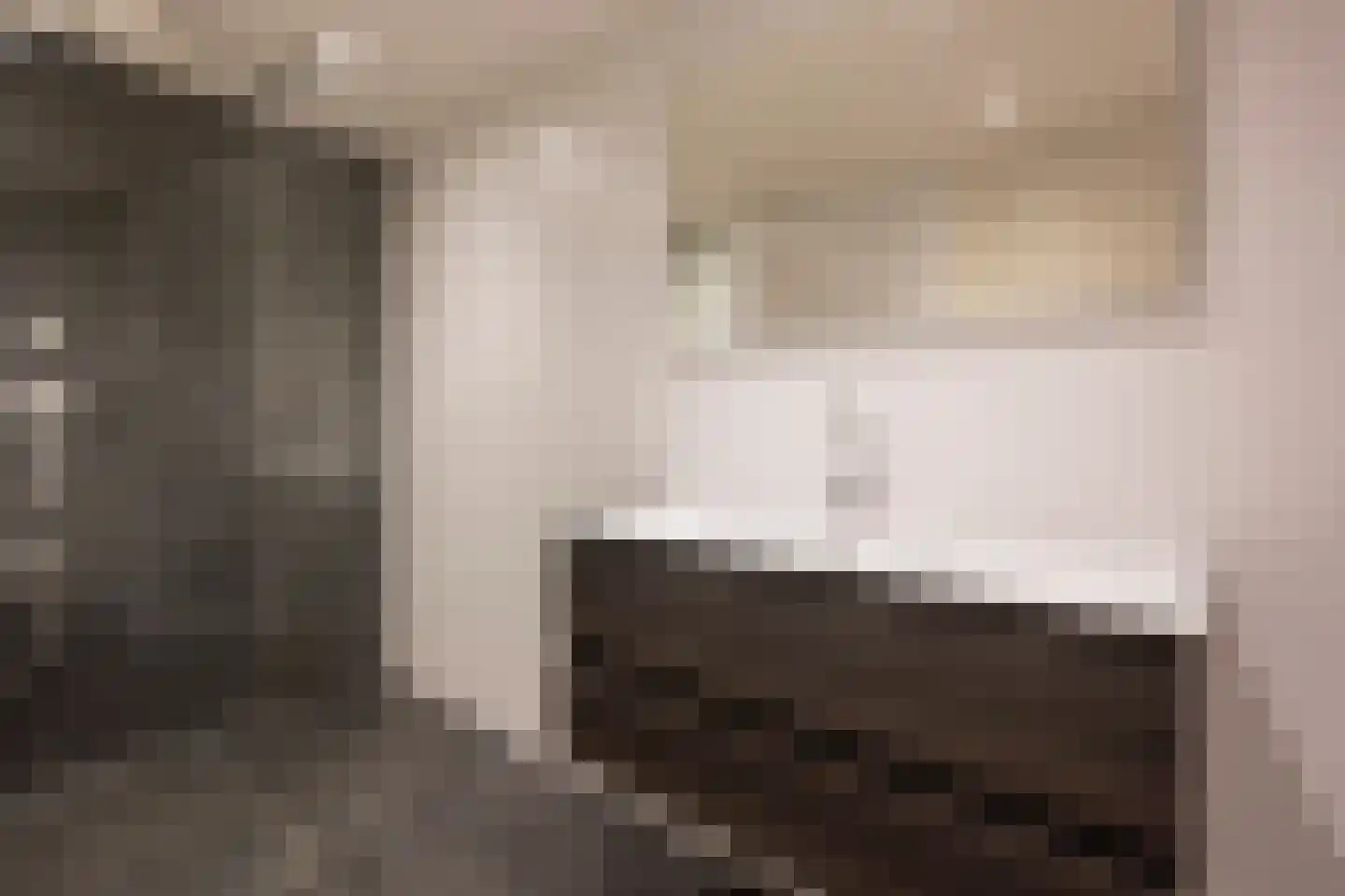 De Vergulde Valk 1 Amersfoort thumbnail 34