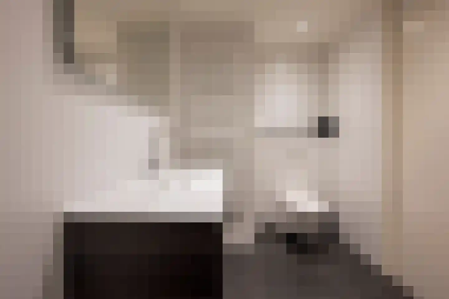 De Vergulde Valk 1 Amersfoort thumbnail 35