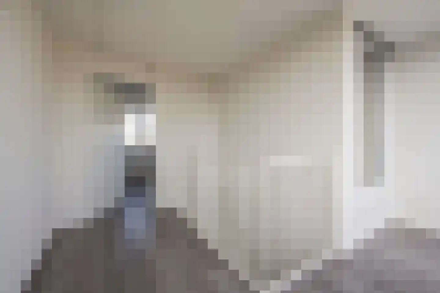 De Vergulde Valk 1 Amersfoort thumbnail 37