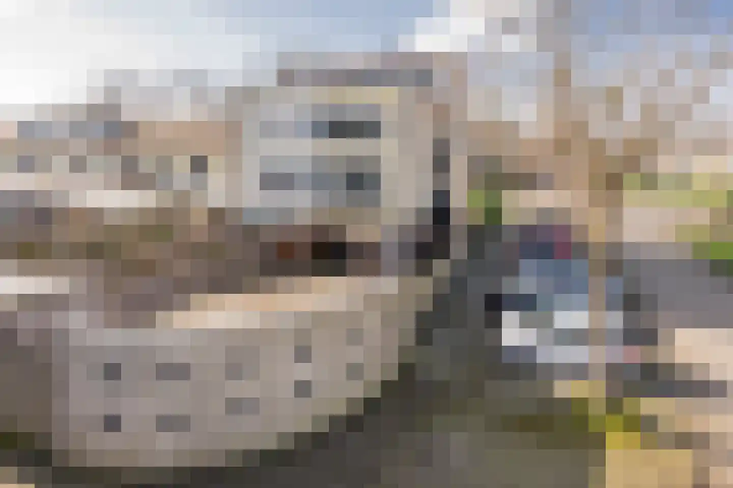 De Vergulde Valk 1 Amersfoort thumbnail 4