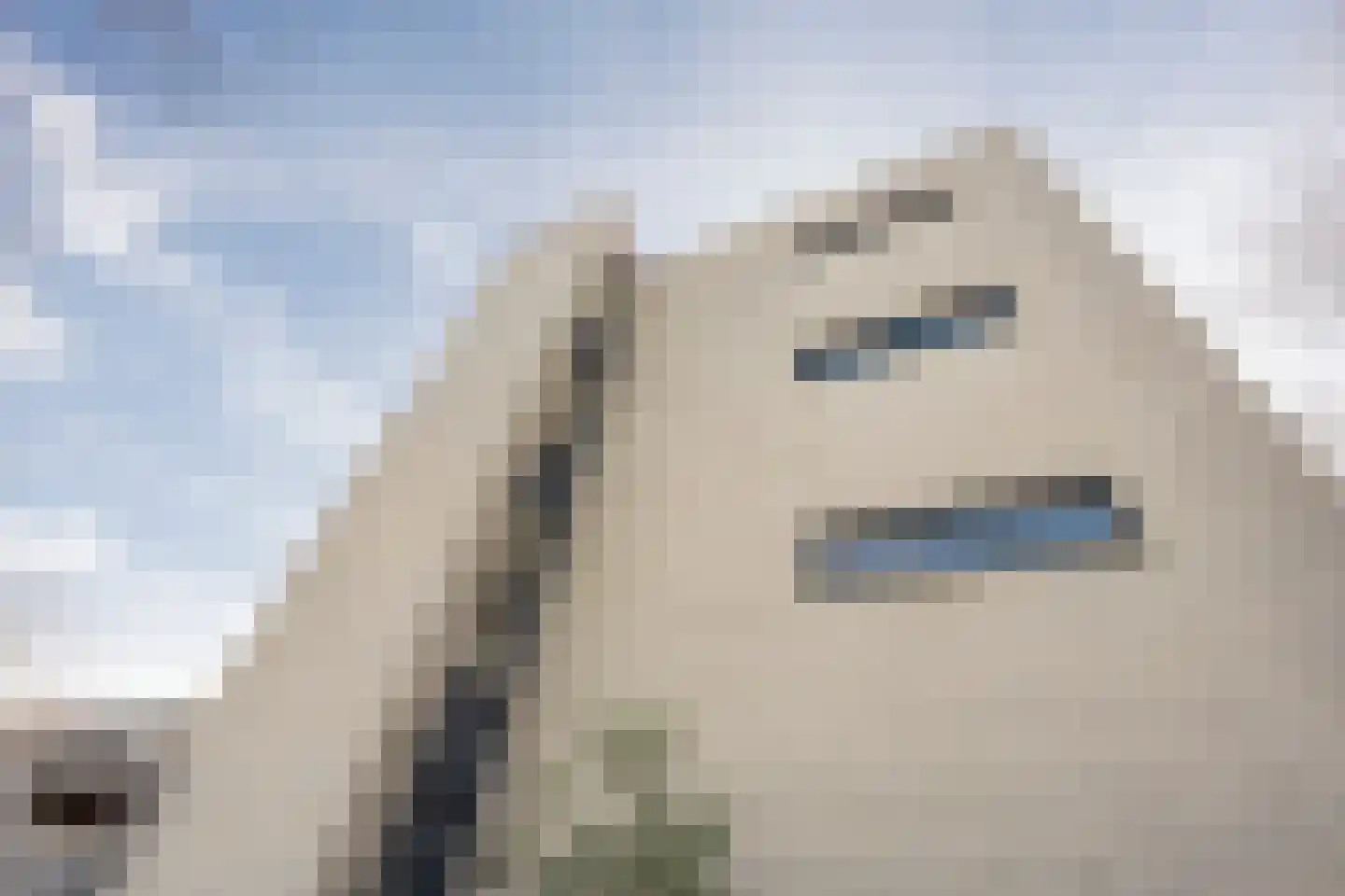 De Vergulde Valk 1 Amersfoort thumbnail 6