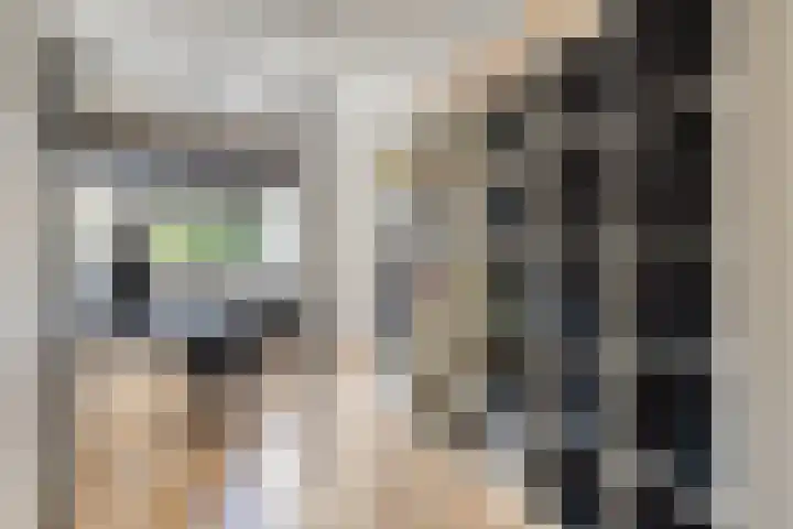 De Vergulde Valk 17 Amersfoort thumbnail 11