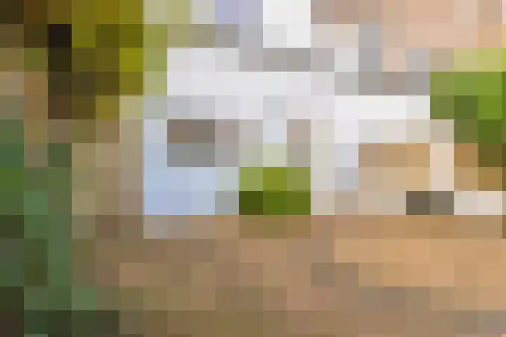 De Vergulde Valk 17 Amersfoort thumbnail 18