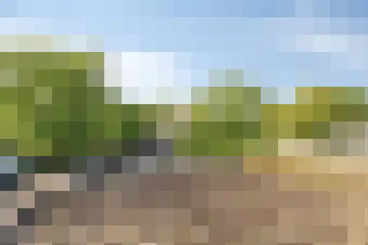 De Vergulde Valk 17 Amersfoort thumbnail 19