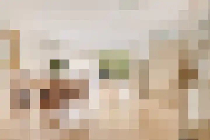 De Vergulde Valk 17 Amersfoort thumbnail 4
