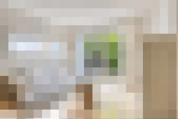 De Vergulde Valk 17 Amersfoort thumbnail 5