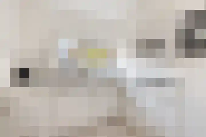 De Vergulde Valk 17 Amersfoort thumbnail 6