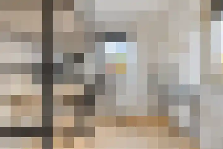 De Vergulde Valk 17 Amersfoort thumbnail 8