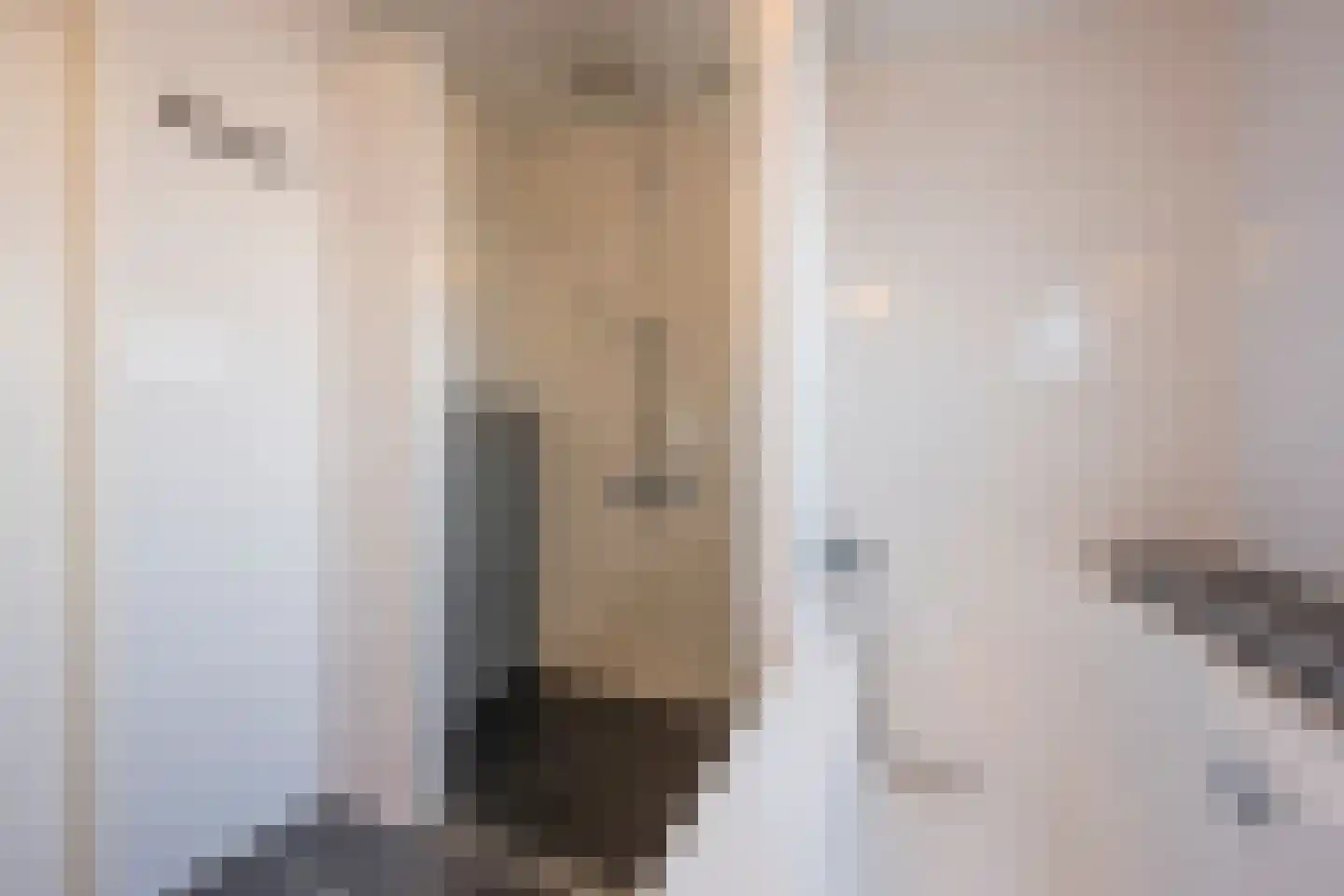 De Vergulde Valk 26 Amersfoort thumbnail 33