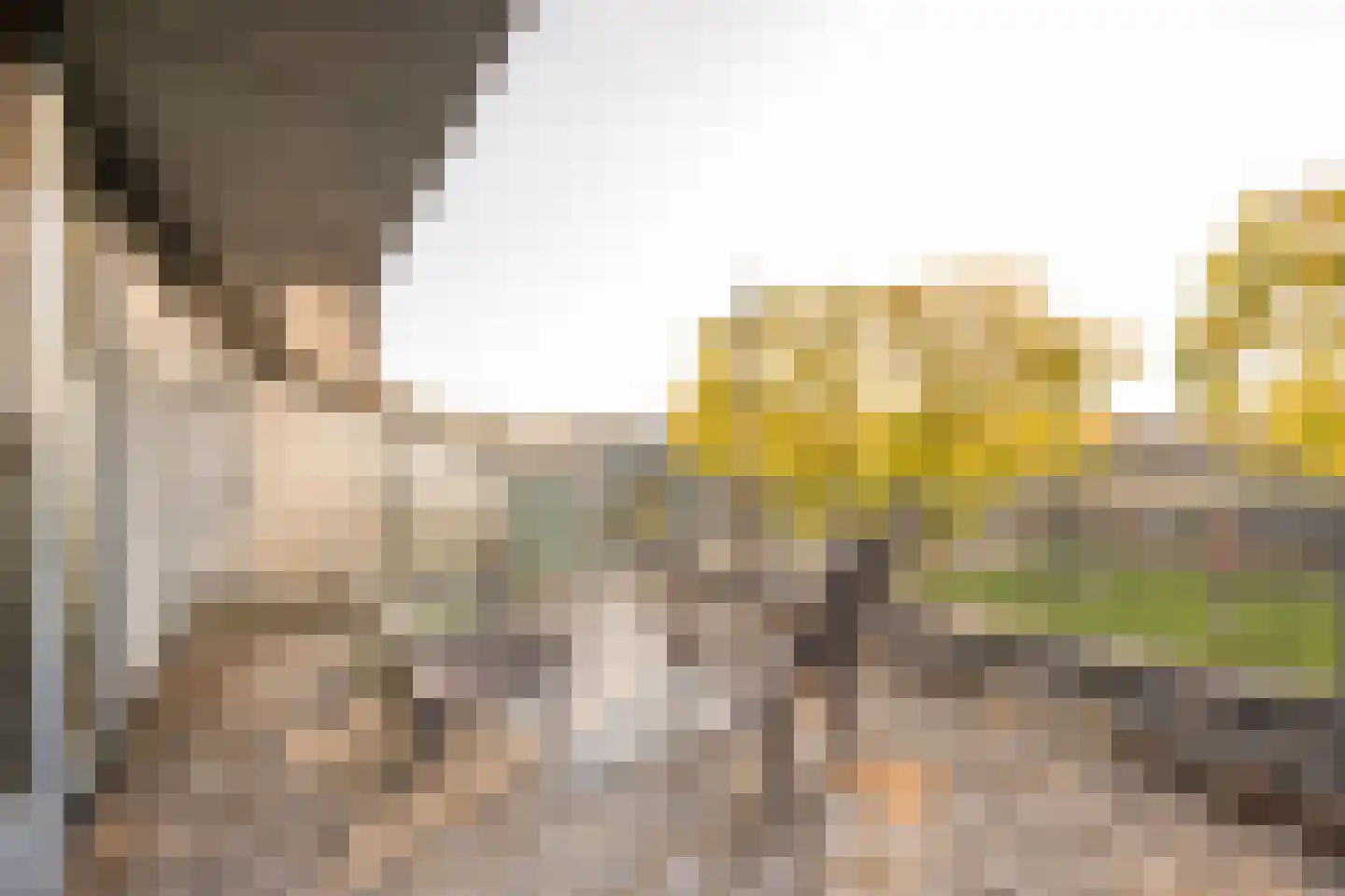 De Vergulde Valk 26 Amersfoort thumbnail 37