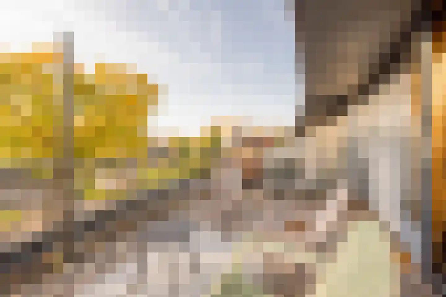 De Vergulde Valk 26 Amersfoort thumbnail 38