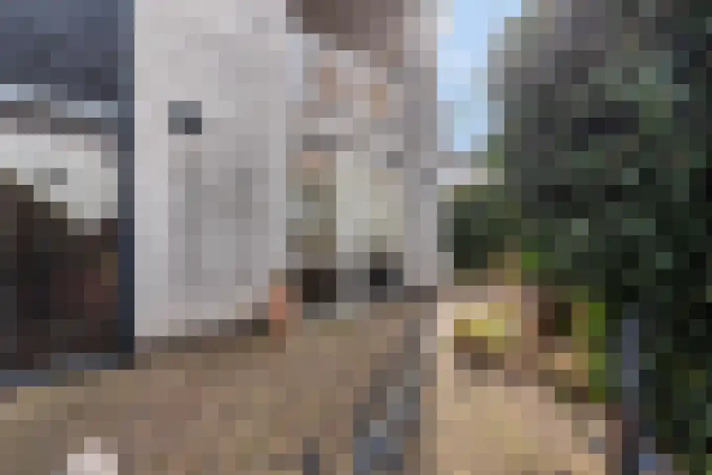 De Vergulde Wagen 48 Amersfoort thumbnail 10