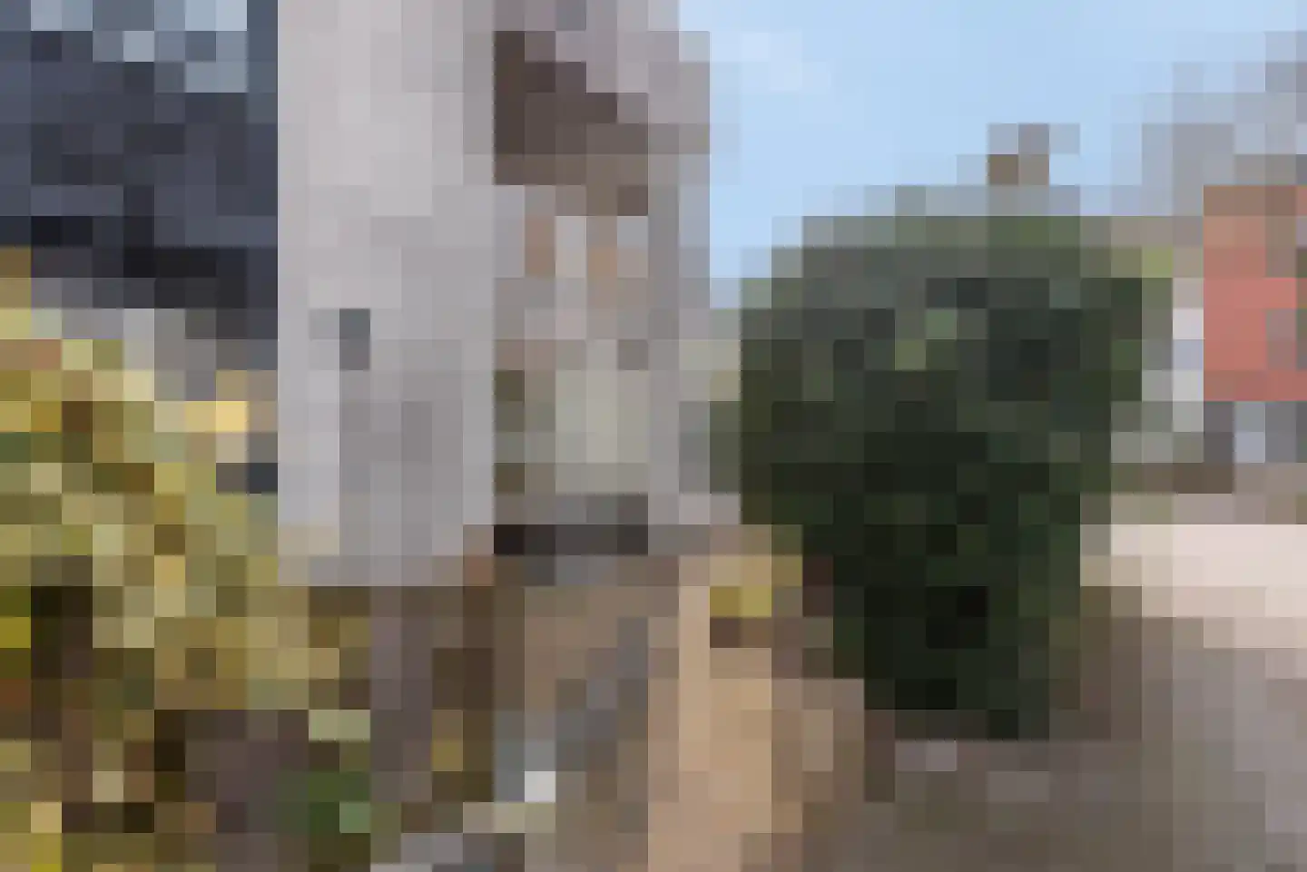 De Vergulde Wagen 48 Amersfoort thumbnail 11