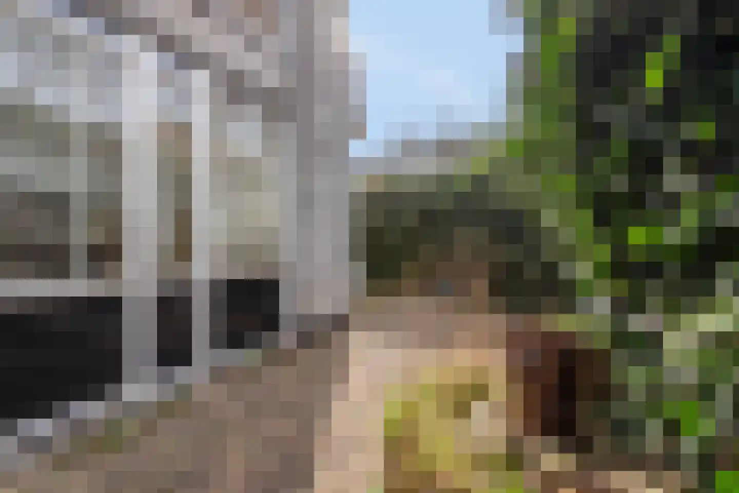 De Vergulde Wagen 48 Amersfoort thumbnail 34