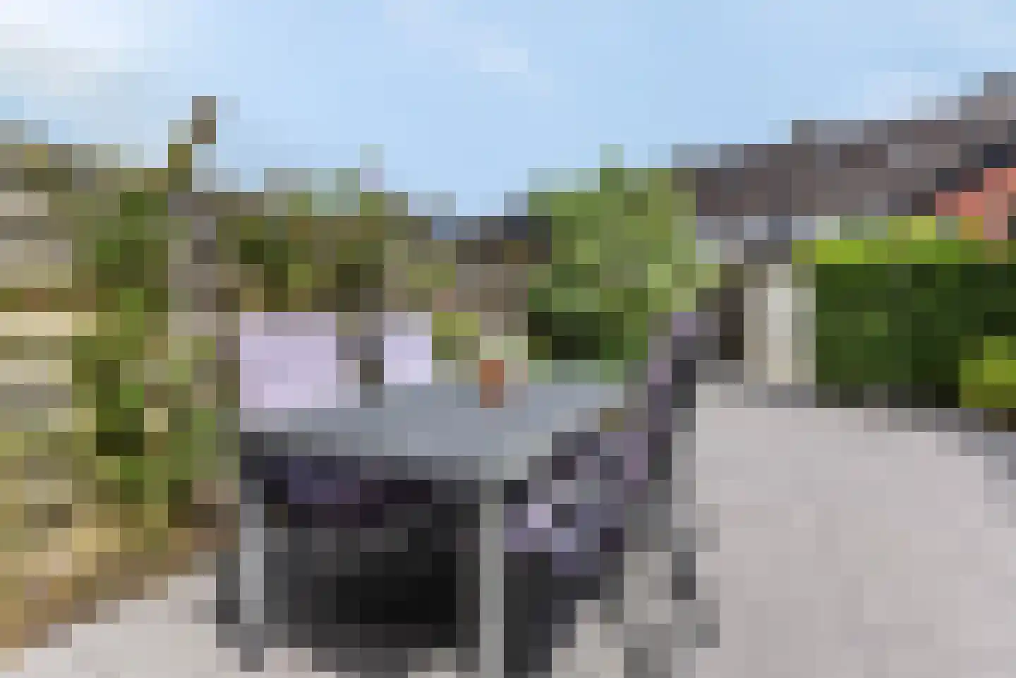 De Vergulde Wagen 80 Amersfoort thumbnail 31