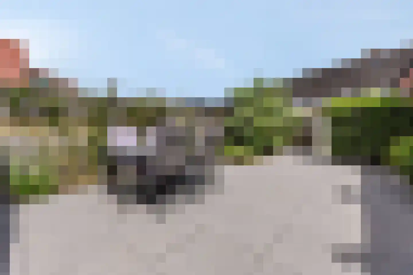 De Vergulde Wagen 80 Amersfoort thumbnail 8