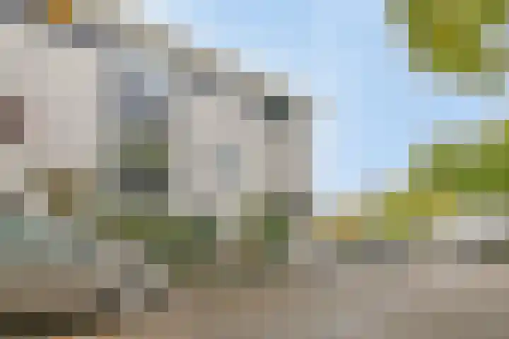 De Vergulde Wagen 98 Amersfoort thumbnail 25