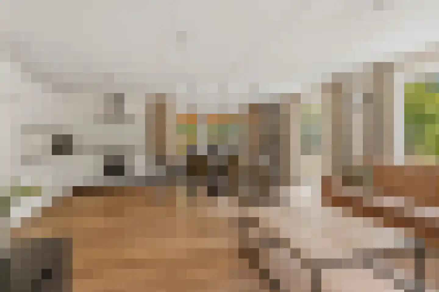 de Vers 177 Overloon thumbnail 10