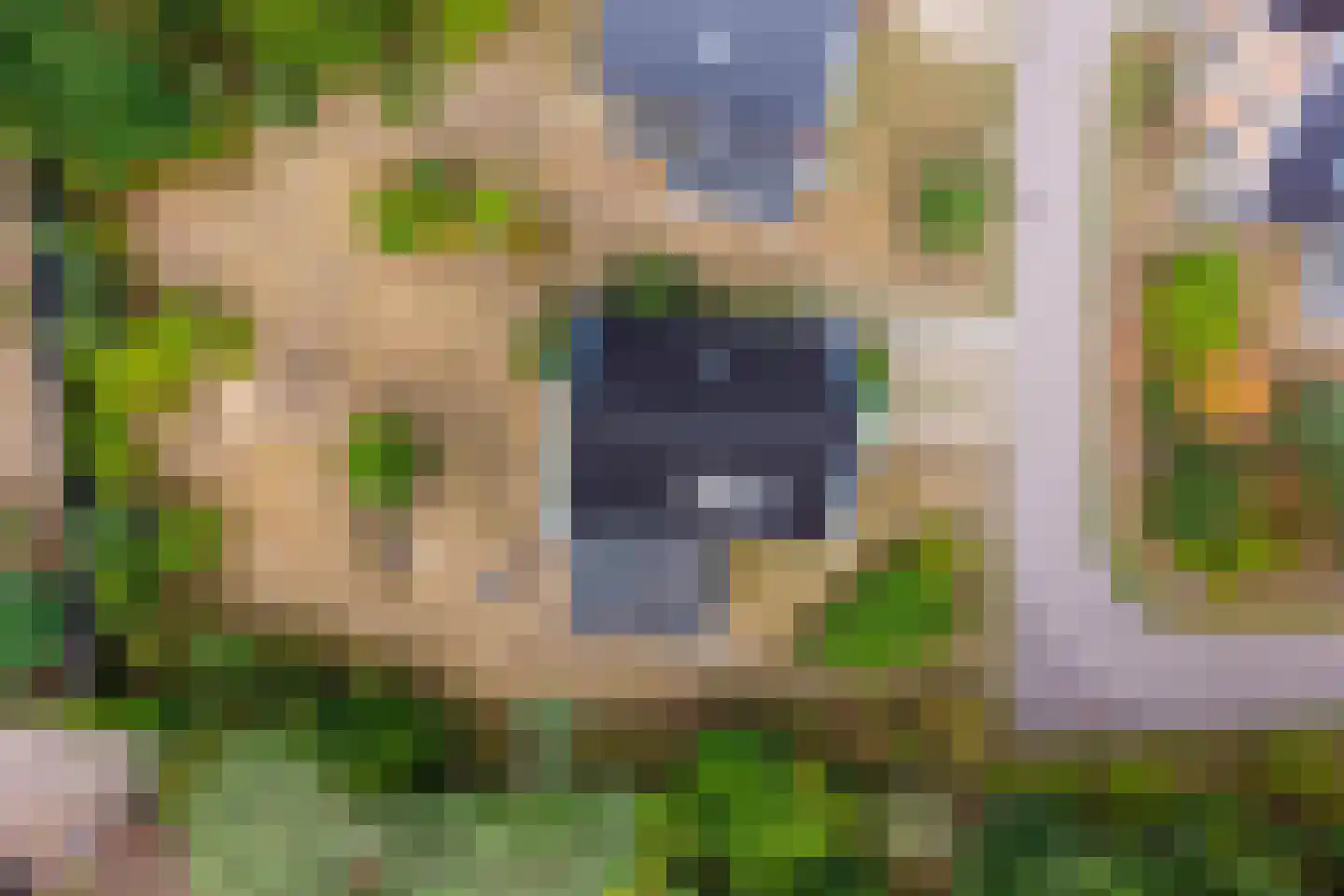 de Vers 177 Overloon thumbnail 27
