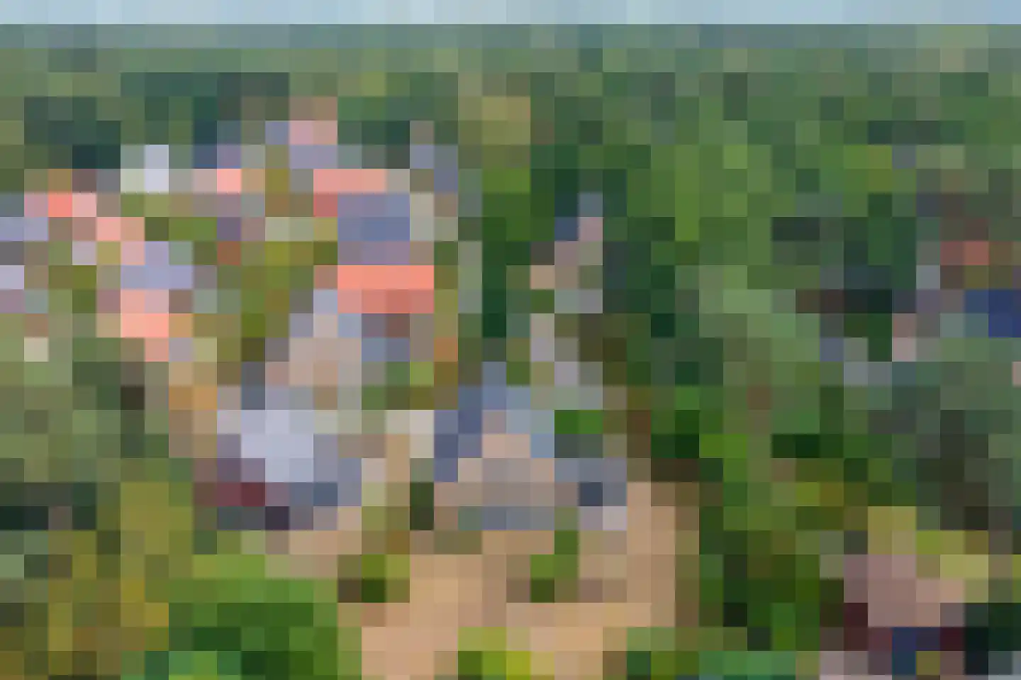 de Vers 177 Overloon thumbnail 28