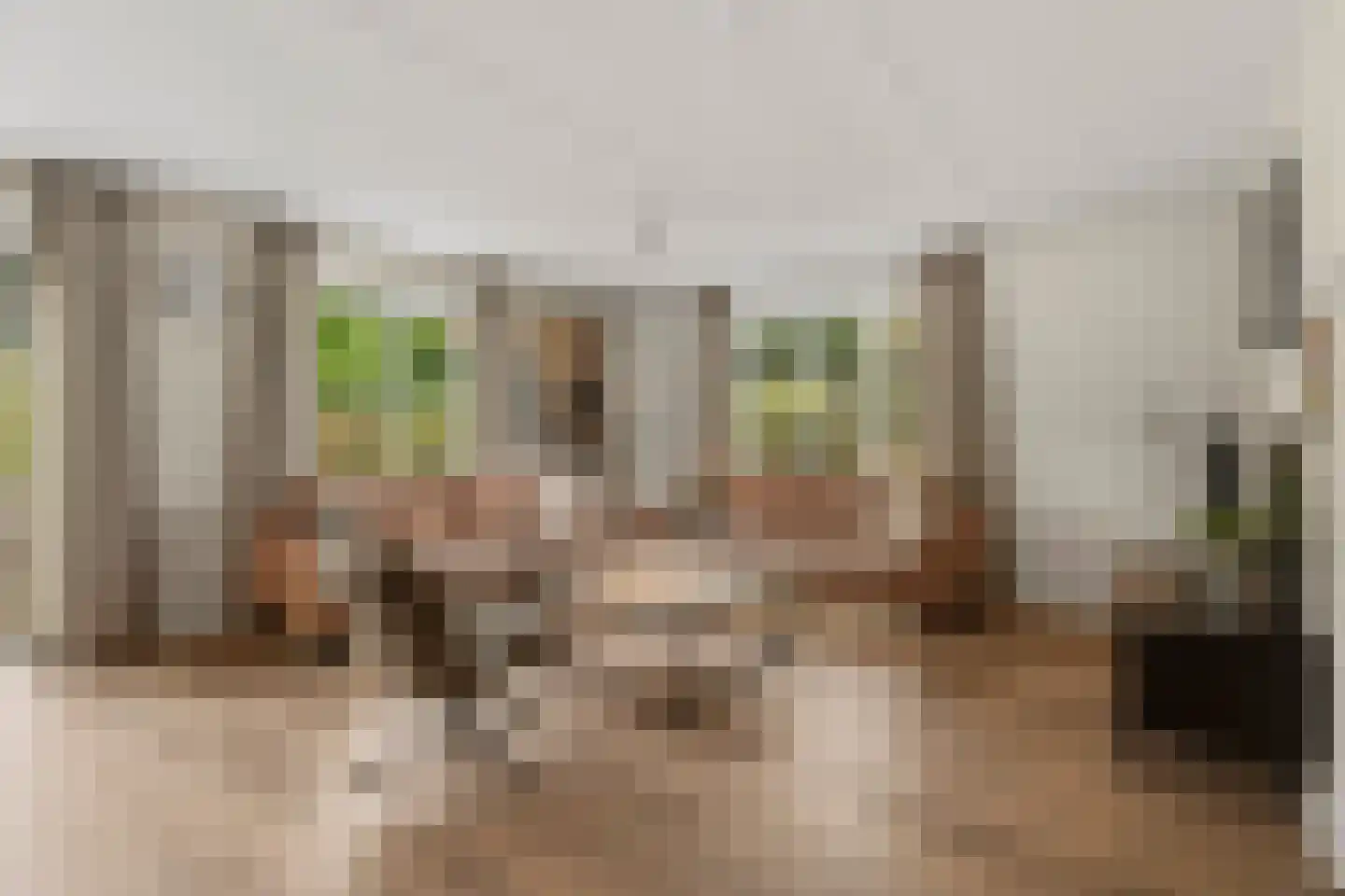 de Vers 177 Overloon thumbnail 9