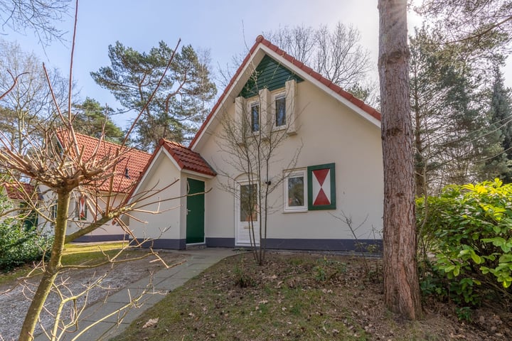 de Vers 217 in Overloon foto