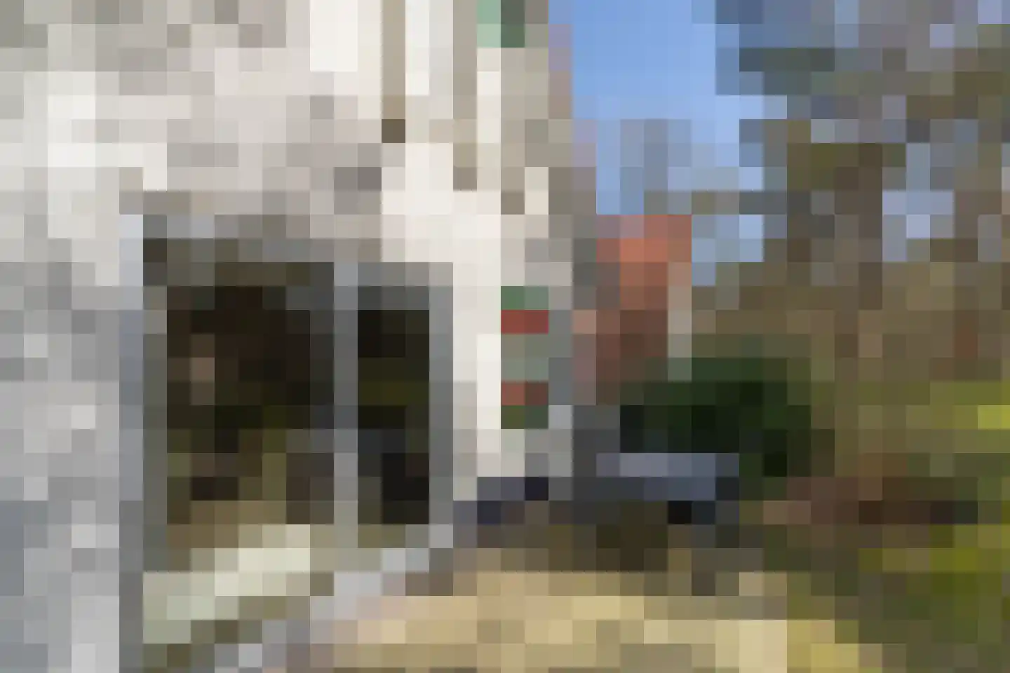de Vers 217 Overloon thumbnail 10