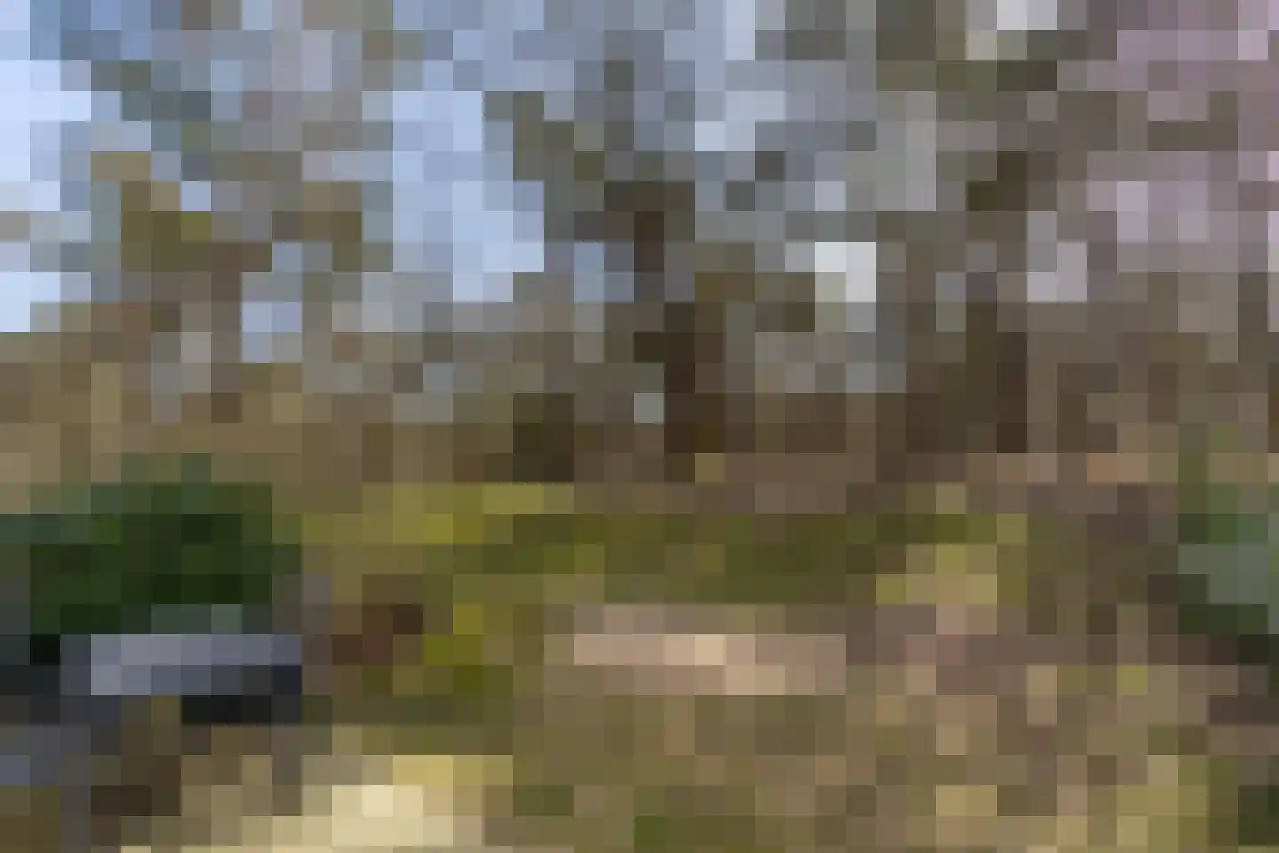 de Vers 217 Overloon thumbnail 11