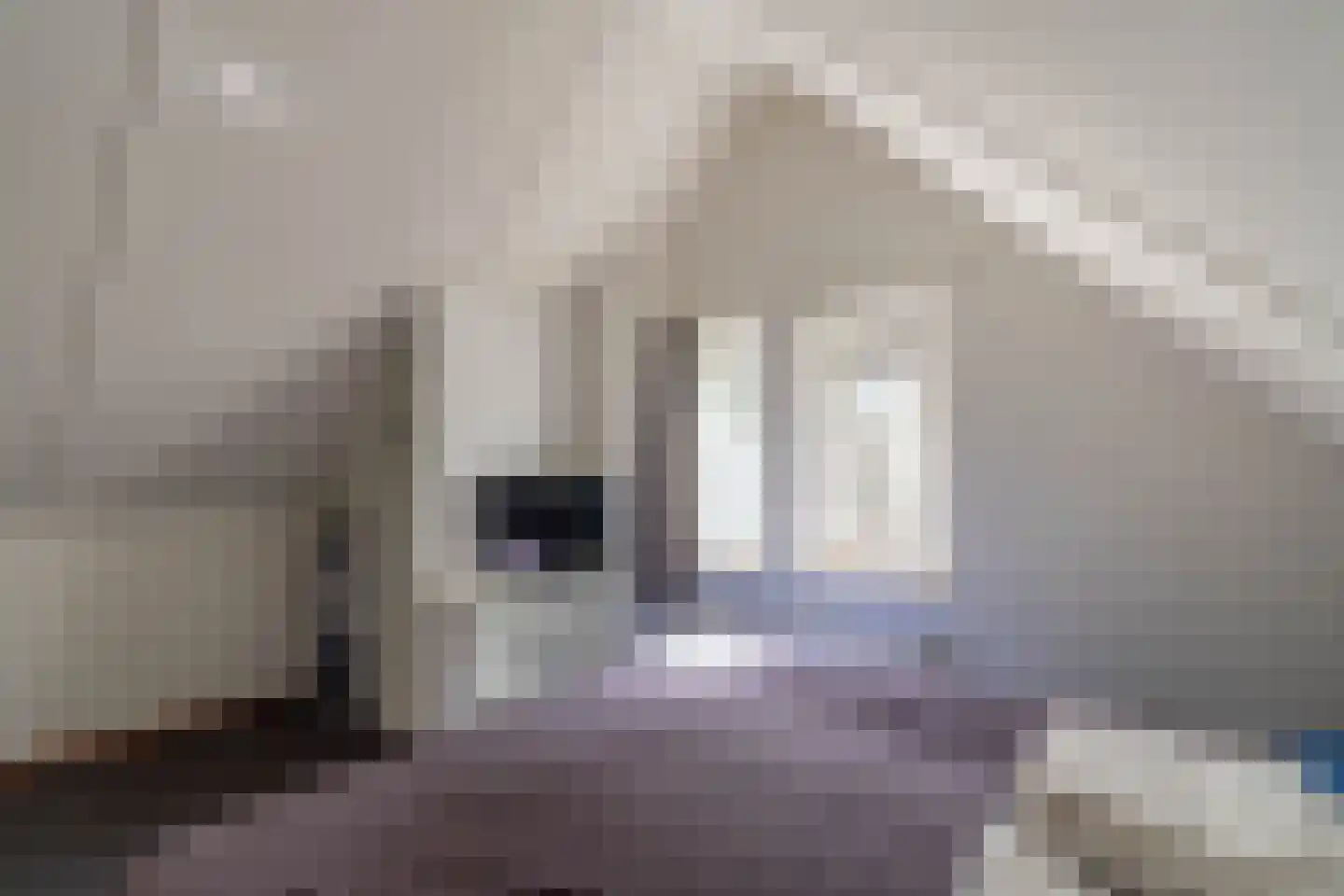 de Vers 217 Overloon thumbnail 36