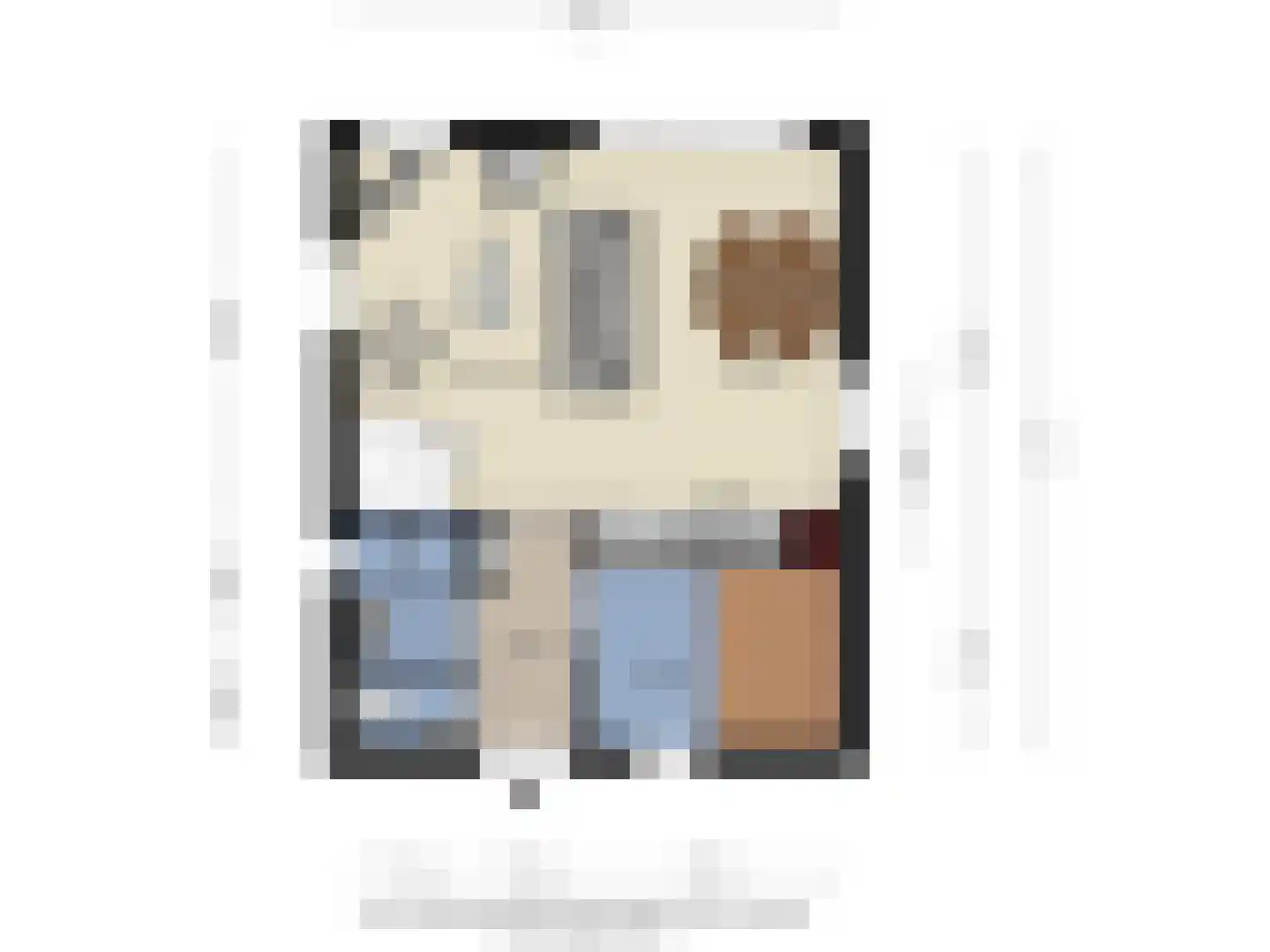 de Vers 217 Overloon thumbnail 42