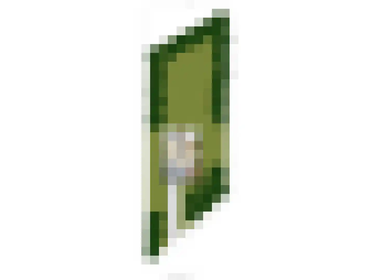de Vers 217 Overloon thumbnail 44
