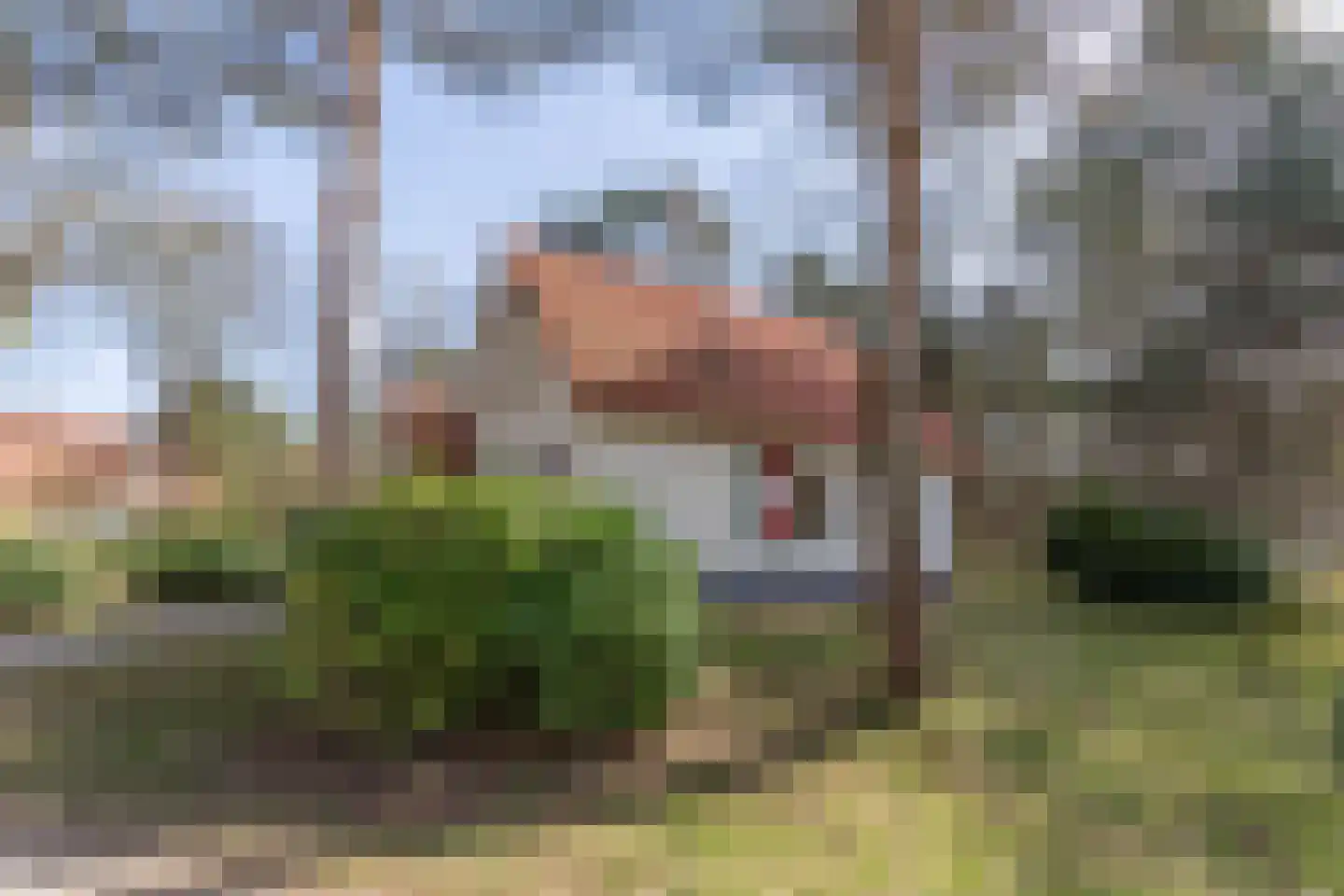 de Vers 217 Overloon thumbnail 5