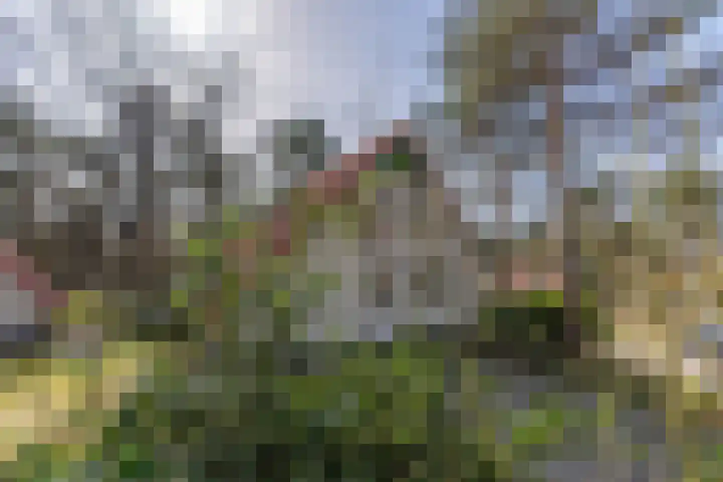 de Vers 217 Overloon thumbnail 6