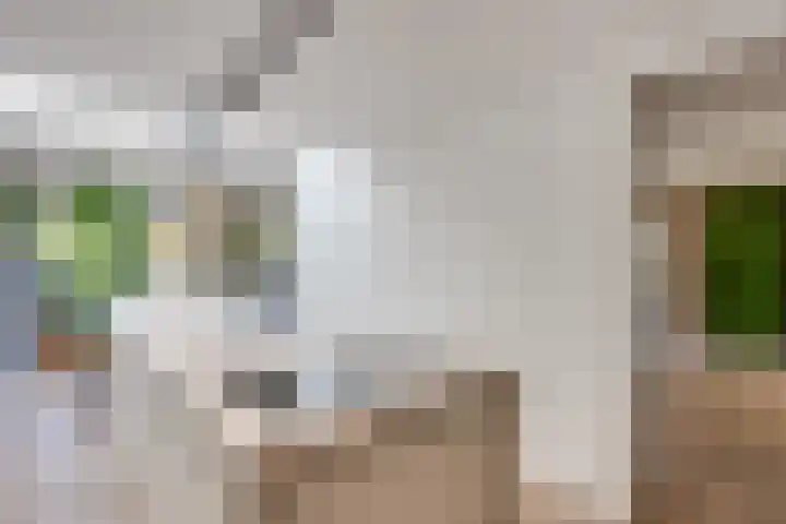 De Verver 10 Veldhoven thumbnail 21