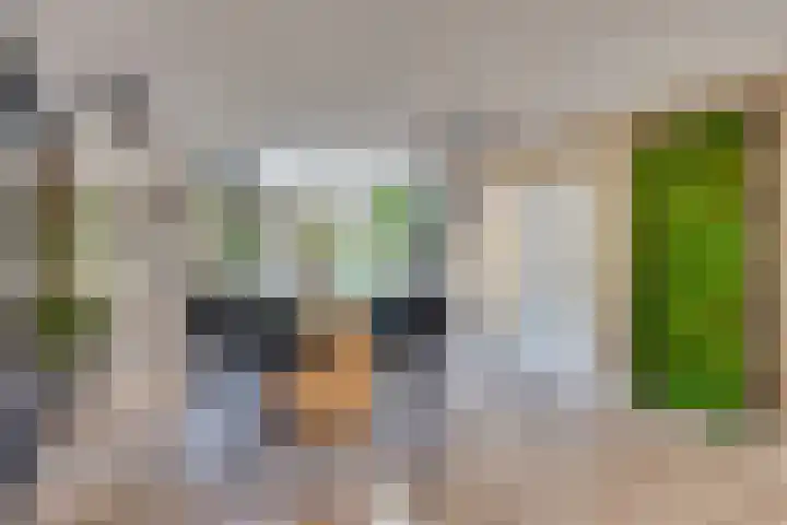De Verver 10 Veldhoven thumbnail 9
