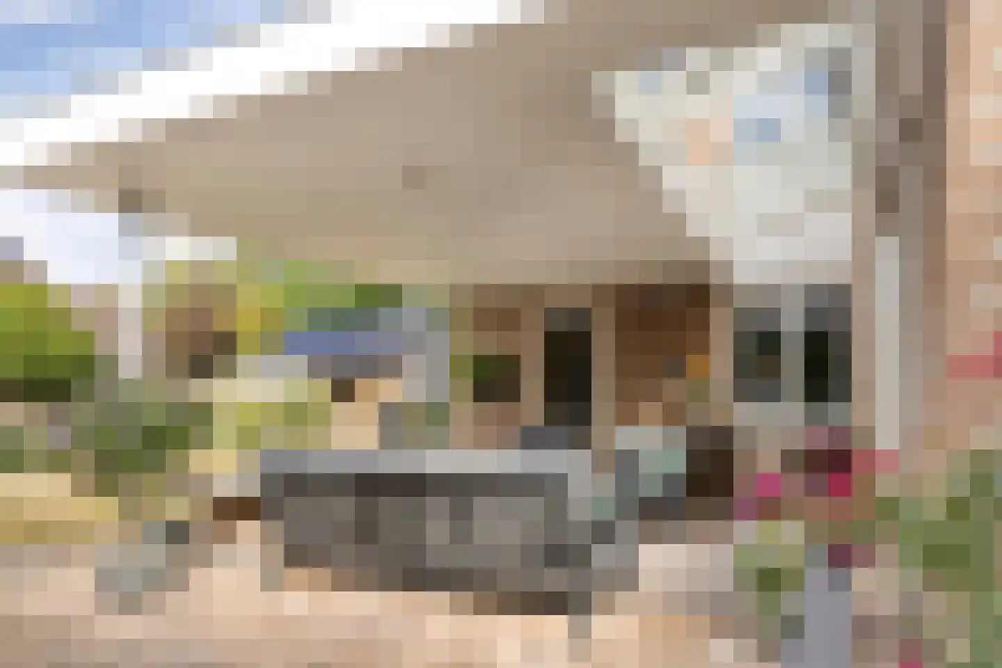 De Verver 41 Veldhoven thumbnail 4