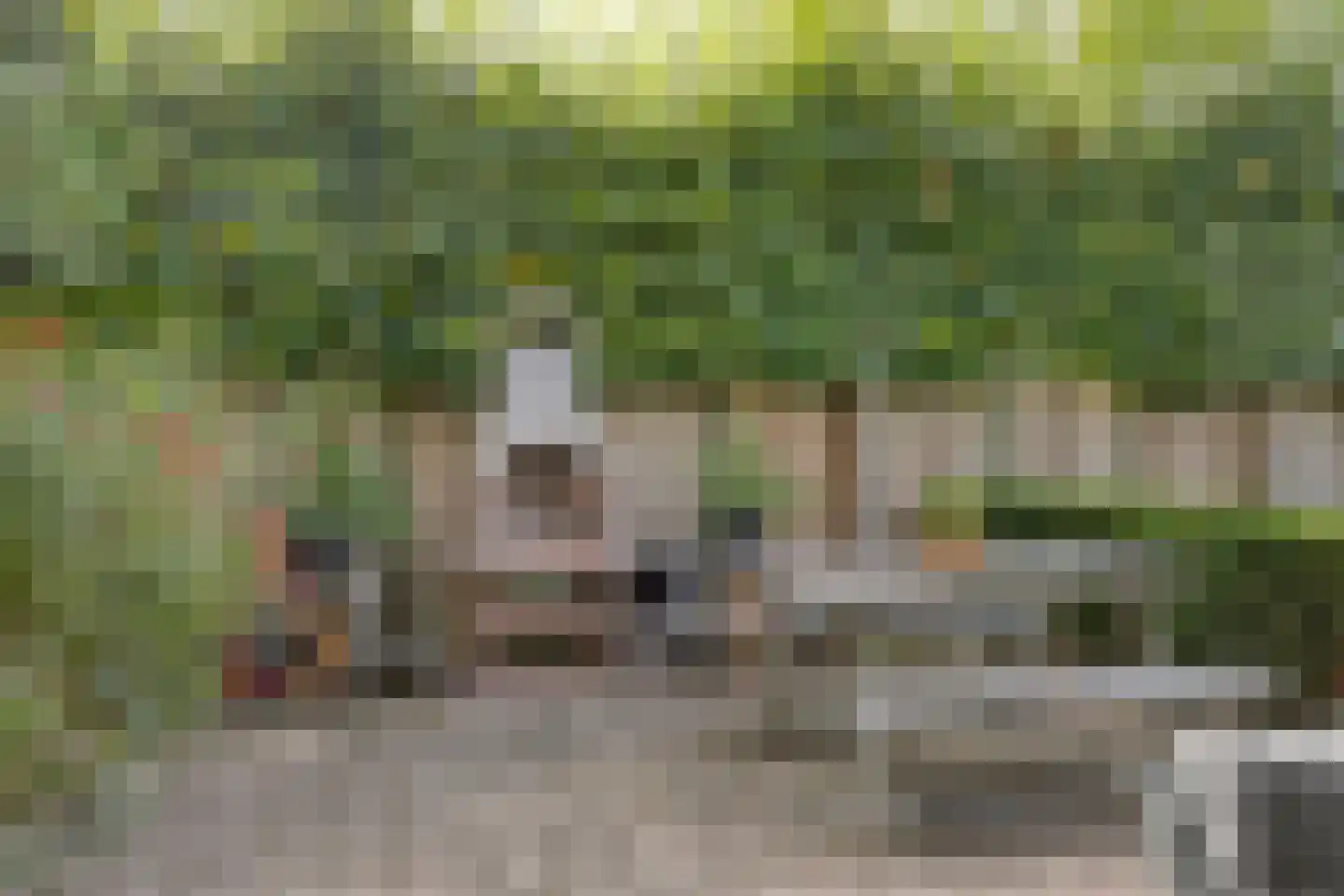 De Verver 41 Veldhoven thumbnail 51