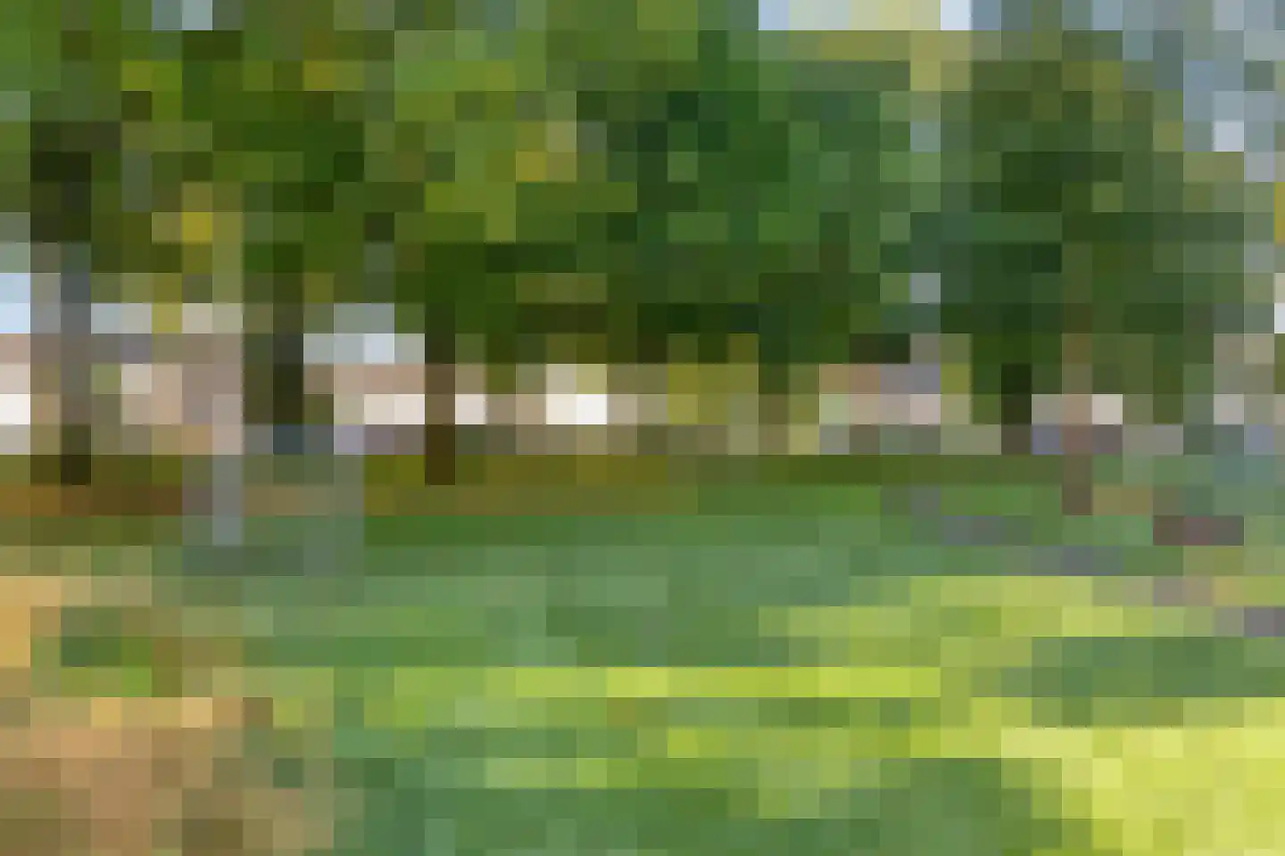 De Verver 41 Veldhoven thumbnail 60