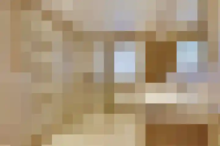 De Verver 9 Veldhoven thumbnail 25