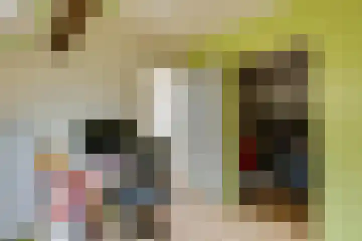 De Verver 9 Veldhoven thumbnail 30