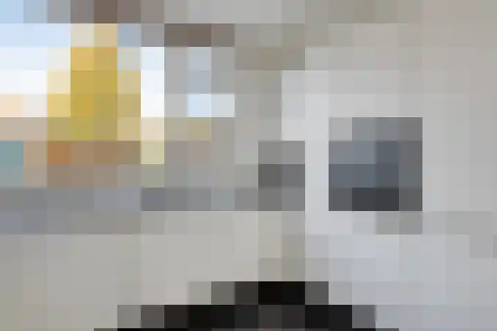 de Ververt 1003 Wijchen thumbnail 11