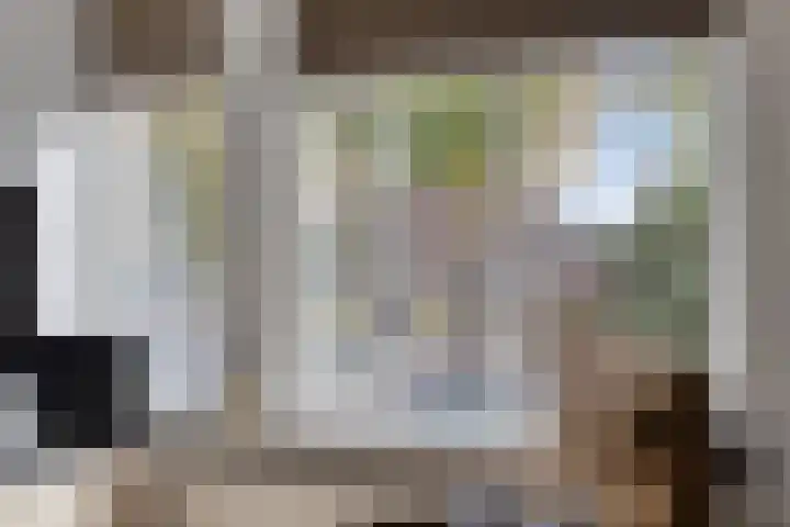 de Ververt 1003 Wijchen thumbnail 12