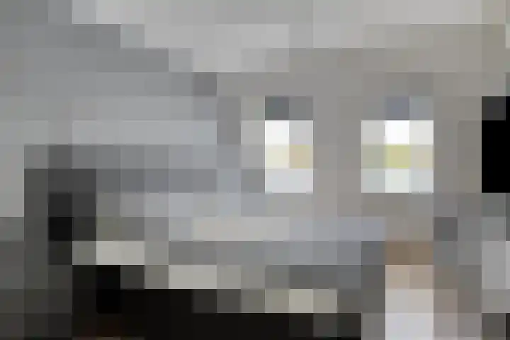 de Ververt 1003 Wijchen thumbnail 16