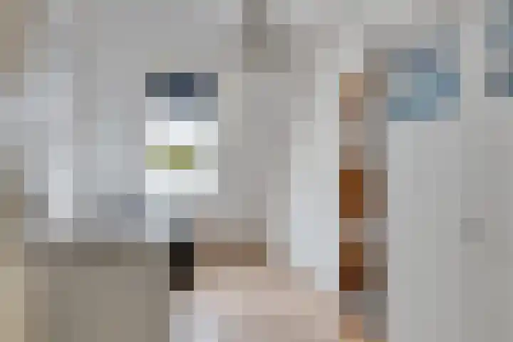 de Ververt 1003 Wijchen thumbnail 22
